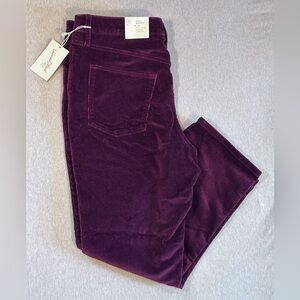 Bootcut Corduroy High Rise Pants Burgundy Size 16 NWT